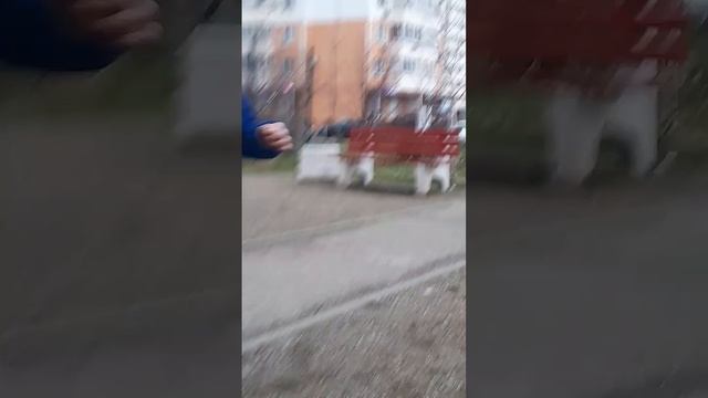 гулянки с друзьями 2