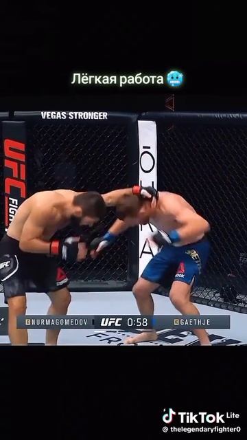 UFC зрелище