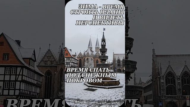 ЗИМУШКА