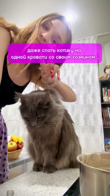 А ВЫ КАК СЧИТАЕТЕ? Tg: kotopesyaofficial #cats #top