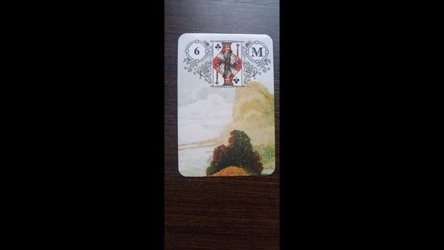 Совет дня на 20 января 2025 года