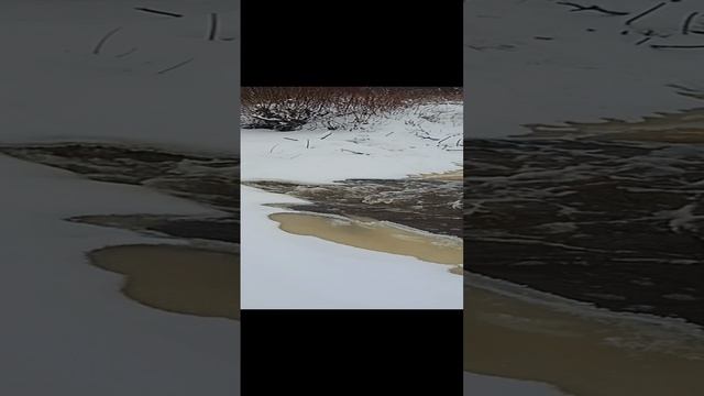 бобровая плотина красота