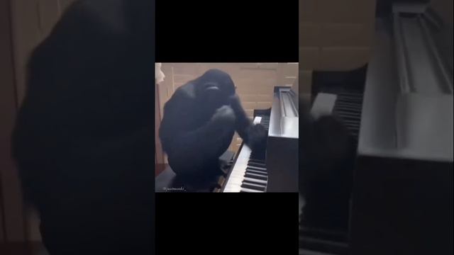 Пианист экстра класса.