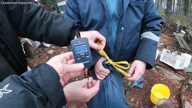 В тайгу на 4 дня на остров! Много щуки итоги рыбалки на таёжных озерах! С острова в цивилизацию! 3ч