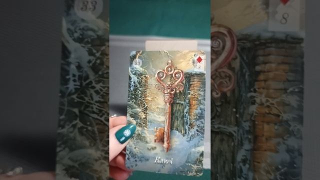 05 февраля 2025 года
