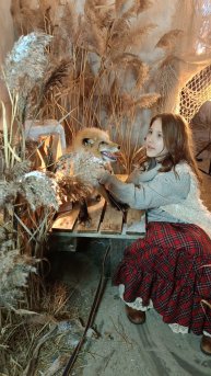 #фотостудия #зачерованный_сад #лис 🦊