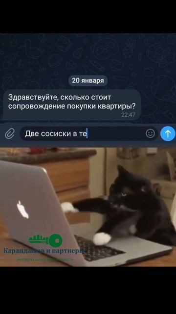 Почему не стоит сразу говорить свой бюджет 😁