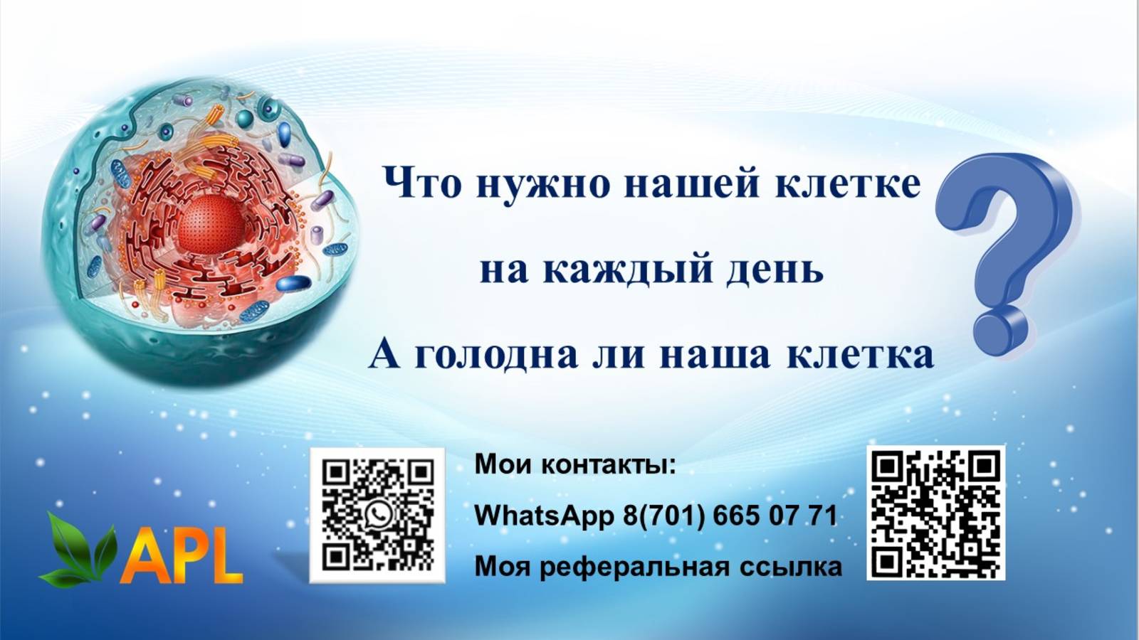 ЕЛЕНА ДРУГАКОВА Что нужно нашей клетке?