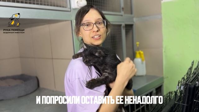 Знакомьтесь, Дотти! Поддержать⬇️