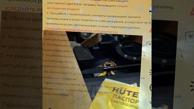 1000013346.mp4 (Собака наблюдает за новым снегоуборщиком)