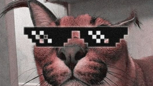 игры