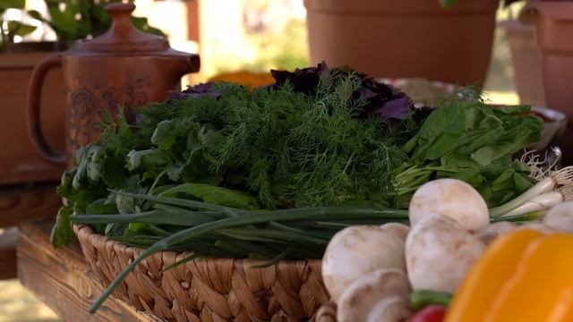 Rustic Chicken & Veggie Oven Roast: Wood Fired Delights