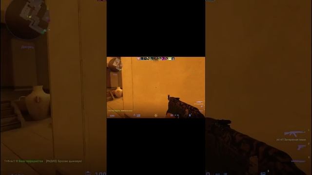 video (51)