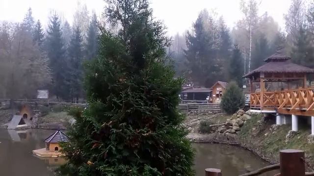 Очень вкусный кофе .Яремче.