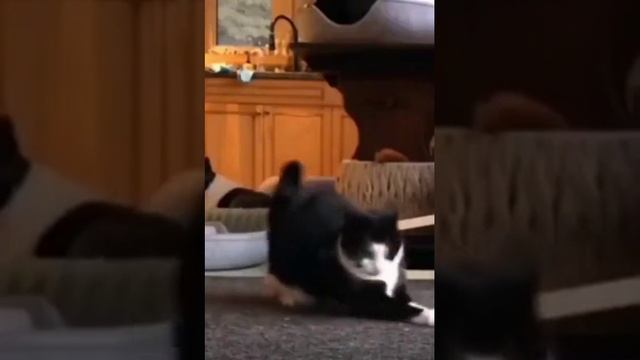 надо что-то делать