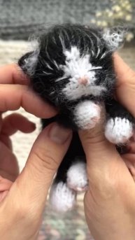 Котенок по описанию «Спящий котенок»