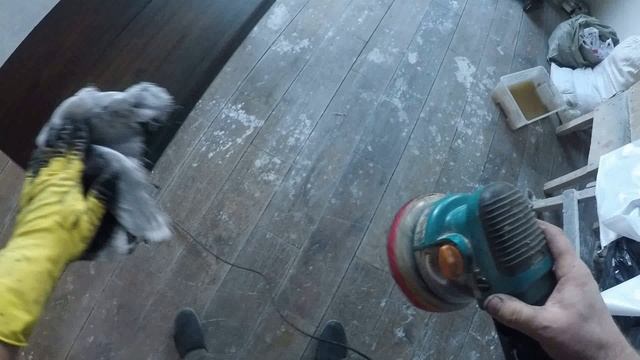 Как покрыть ступени из дуба маслом.