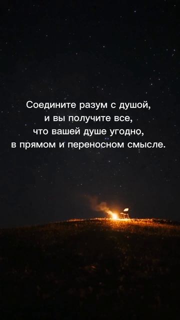 разум с душой #разум #душа #ГараевДамир #АмиДами19 #mind #soul #GaraevDamir #AmiDami19 #shorts