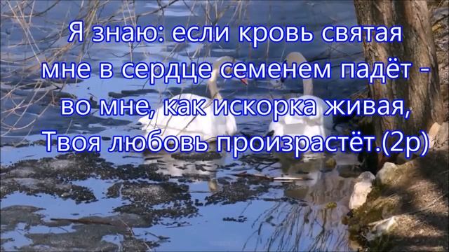 Позволь мне головой склонённой