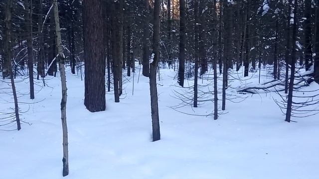 Памятка начинающему туристу. Распределение веса в походе внутри группы