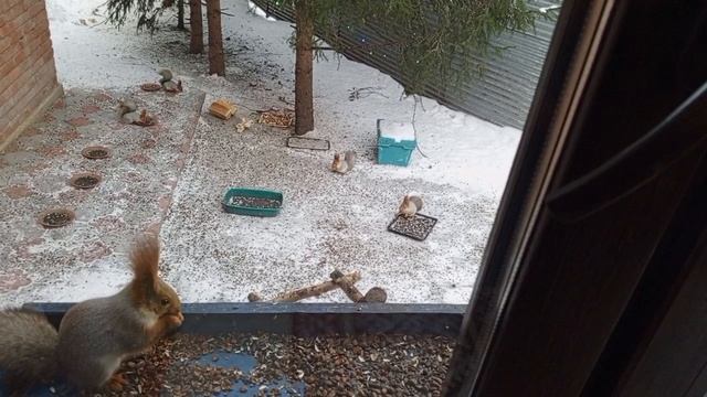 Крещенское чудо.Всем спасибо большое за помощь