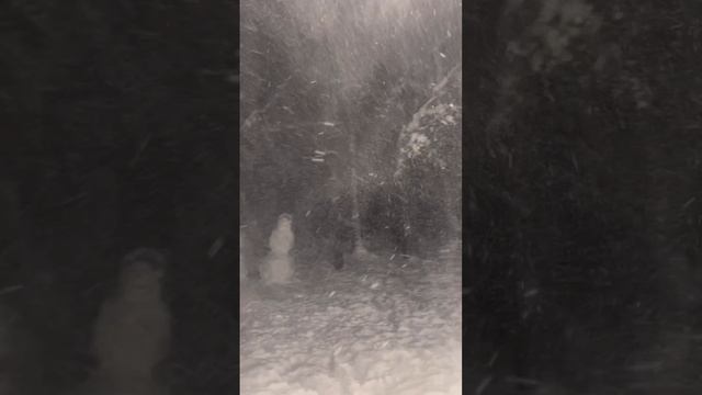 Однажды в Сосновке