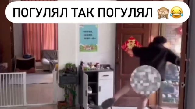 Погулял так погулял! 😂