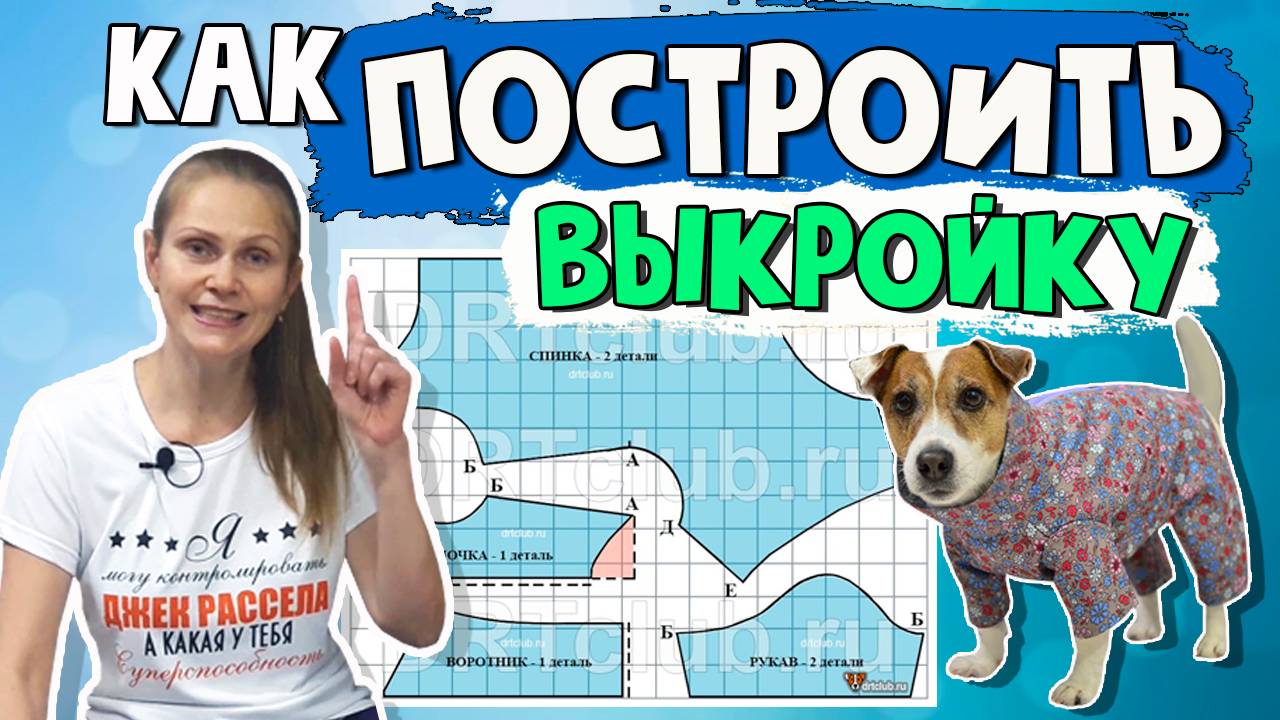 КАК ПОСТРОИТЬ ВЫКРОЙКУ комбинезона, жилета или попоны для собаки