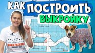КАК ПОСТРОИТЬ ВЫКРОЙКУ комбинезона, жилета или попоны для собаки