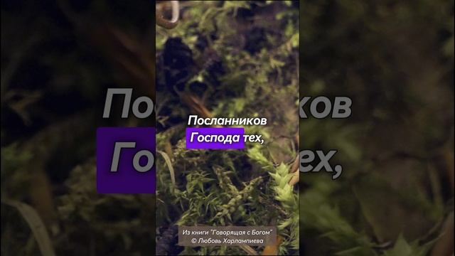 "О сложности выбора"