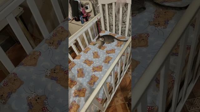 для тебя приготовили 🤣