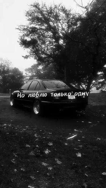 BMW я хочу эту хочу ту