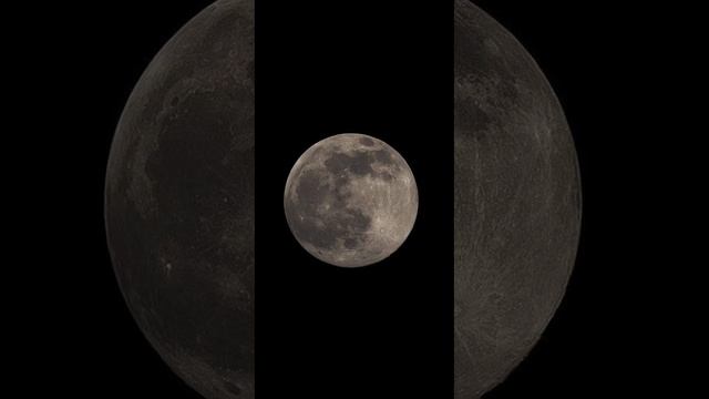 Nasheed 63