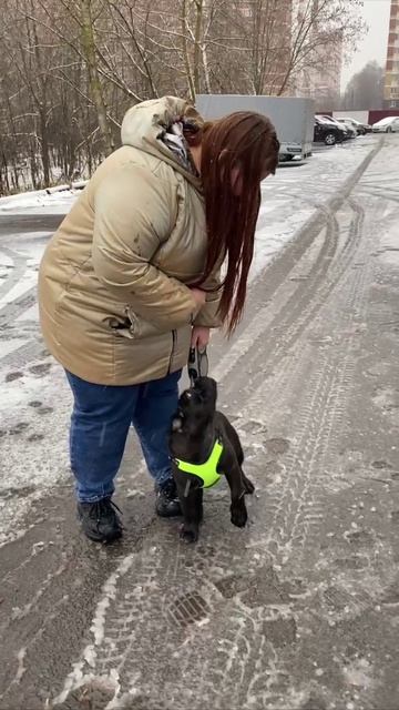 Первая прогулка Вольта, ну умничка!!!
