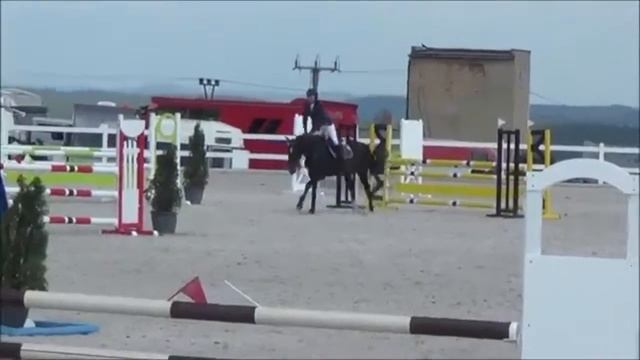 FOR SALE *2012 mare by Quality  AMATEUR JUMPER