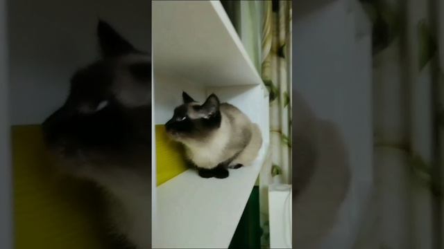1000430997.mp4