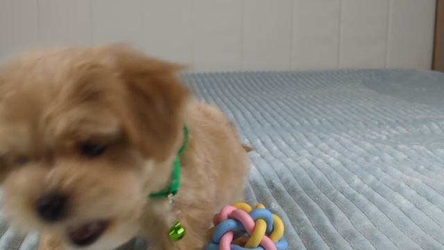 1000129028.mp4