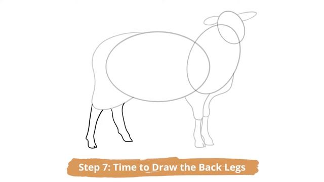 How to Draw a Sheep – The Best Realistic Lamb Drawing Tutorial