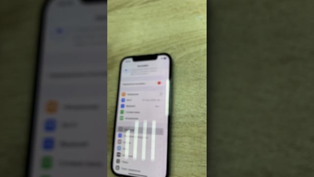 12 pro 256 25900