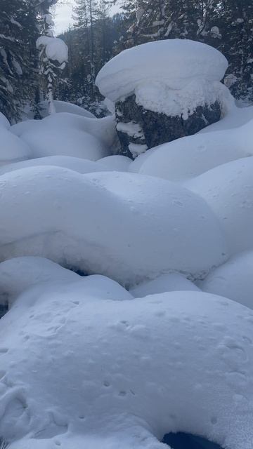 Зимняя сказка❄️