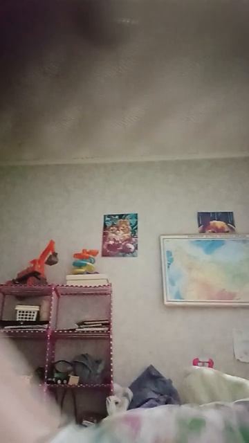 9 января 2025 г.