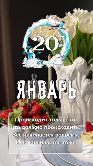 IMG_1250.MOV