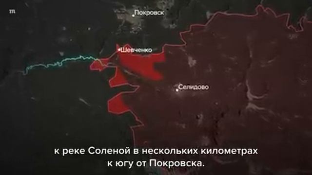 сво фронт