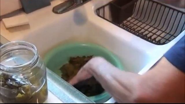 Shake Balekjian makes Yalanci Sarma - Vegetarian grape leaves