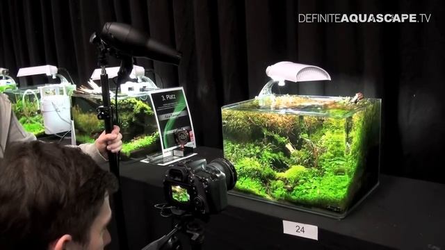 Aquascape photography - tutorial by Jurijs Jutjajevs