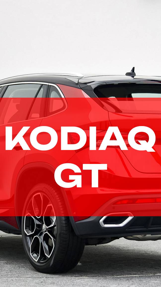 Заезжал KODIAQ GT, поменяли ему масло, сейчас он дома уже 😎