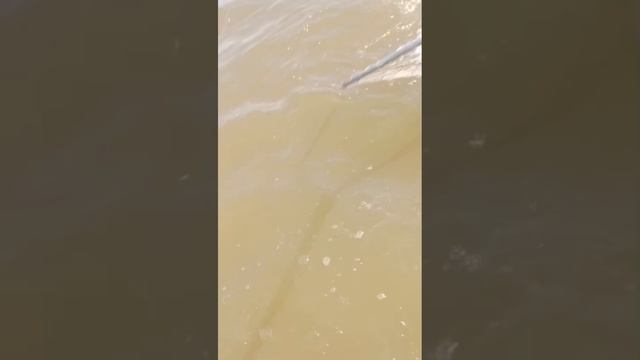1000050548.mp4