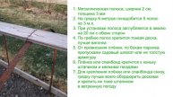 Самый надежный парник.Ураган не страшен!