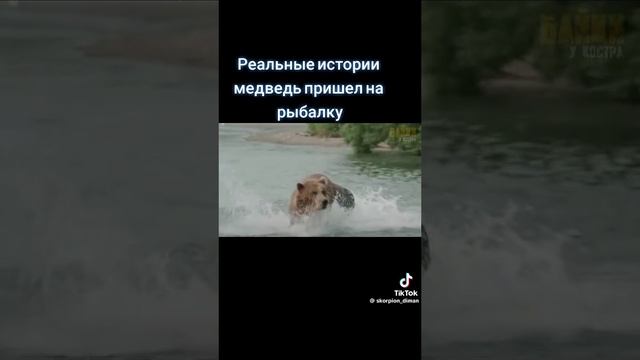 реальные истории