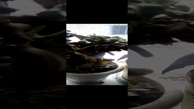 1001116622.mp4